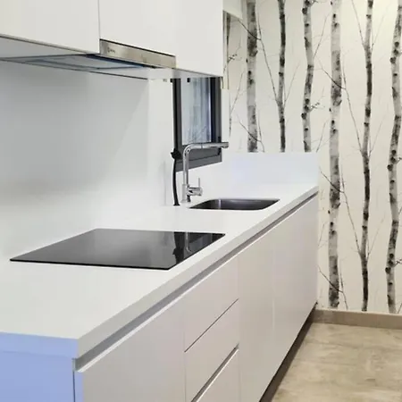 Appartement Lujoso Nuevo Playa Centro *