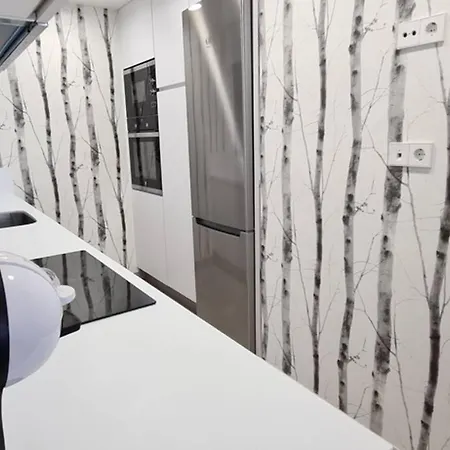 Lujoso Nuevo Playa Centro Apartment *